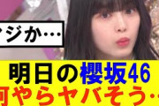 【櫻坂46】明日の櫻坂46何やらヤバそう…#櫻坂46 #そこ曲がったら櫻坂#承認欲求#森田ひかる #山﨑天 #藤吉夏鈴 #sakurazaka46 #欅坂46#村山美羽 #中嶋優月#田村保乃