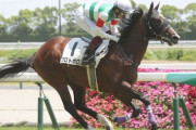 【競馬予想】第42回小倉2歳ステークス(GⅢ) /2022