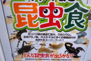 外国人「日本で面白かったレア自動販売機を紹介してみる！」