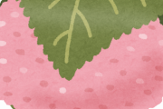 桜餅の葉っぱ食う奴