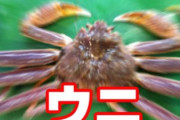 【！？】都内の駅前にカニ！？ あちこちで目撃されているらしいが、何が起きてんの？