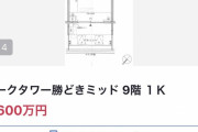 東京、1Kで4600万円