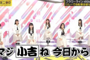 【乃木坂46】バナナマンと絡みやすくなる為にも期別でやるのはありだと思う【乃木坂工事中】