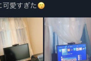 【悲報】APEXの女性ゲーマーさん、ヤバいものが映った画像をアップしてしまい炎上