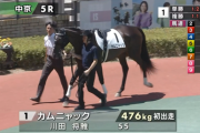 【日曜中京5R新馬戦】カムニャック＆川田騎手がｷﾀ━━━━(ﾟ∀ﾟ)━━━━!!
