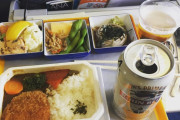 外国人「日本航空エコノミークラスの機内食はこんな感じだったよ！」