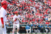 前半戦12球団観客動員数、カープ4位！1試合平均27191人