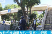 【東京】環七の歩道橋から飛び降り車にひかれ…40代女性死亡