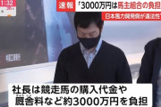 風力発電汚職事件、自民党の秋本真利議員と社長は「競走馬の馬主仲間」、共同で馬を所有