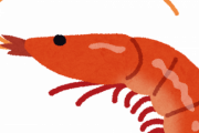 【画像】エビさん、とんでもない餌を喜んで食べてしまうｗｗｗ
