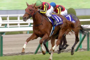 【競馬】　札幌記念、想定11頭ｗｗｗｗｗｗｗｗｗｗｗｗｗｗｗ