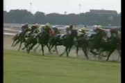 1990年のオークス馬エイシンサニー死亡　34歳