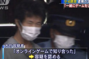 「オンラインゲームで知り合った」小学四年生女児を誘拐した任天信者38歳男逮捕