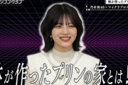【乃木坂46】林瑠奈が作った『プリンの家』www