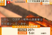 【朗報】完全養殖ウナギ、一匹あたり40000円から1800円へｗｗｗｗｗ