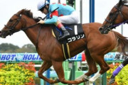 【競馬予想】第57回京王杯2歳ステークス(G2）/2021
