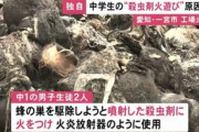 【愛知】中学生が殺虫剤を「火炎放射器」にして蜂の巣駆除→工場など約3400平方メートルの火災