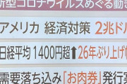 【悲報】「お肉券」、一家族辺り４００グラムｗｗｗｘｗｗｗｘｗｗｗｘ
