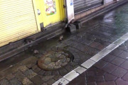 【悲報】渋谷にネズミが大挙して押し寄せる。ご自慢の首都トンキンw