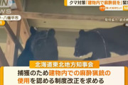 クマ駆除に「武器を使うのは卑怯」「素手で対応しろ」…苦情電話が相次ぎ業務に支障！