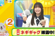 見事なノリツッコミ！櫻坂46大園玲、番組恒例の無茶ぶりからのネギギャグ人生初披露【ラヴィット！】