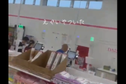 【動画】ダイソーのセルフレジが使えないおじいちゃん、店員に煽られてガチギレ・・・どっちが悪いんだよこれ
