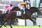 【競馬予想】第69回毎日杯(GⅢ) /2022