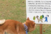 非常識な飼い主に遭遇したことありますか？
