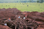 ブラジルで発見された世界最大規模の「アリの地下帝国」が海外で話題に