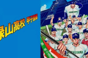 よくよく考えたら高校野球がこんな盛り上がる文化日本以外にあるんやろか