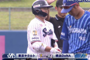 ヤクルトの若手野手がしゅごい…　打ちまくりの走りまくりでDeNAを圧倒