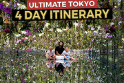 外国人「近々行くよ！」ファミリーが案内、東京の新旧観光スポットガイド