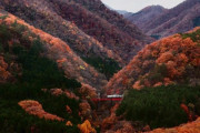 外国人「あまり知られてない日本の鉄道スポットを撮影してるので見て」