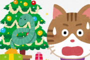 【お手柄】飼いネコちゃん、クリスマスツリーに潜んでいた猛毒ヘビを発見　南ア【???】