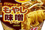 【画像】お前らの好きなカップラーメンってこれだろ？