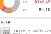 手取り14万俺、今月赤字ｗｗｗｗｗｗｗｗｗｗｗｗｗｗ