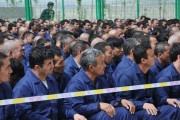 海外「一般的な中国人はウイグル人強制収容所についてどう思ってるの？」