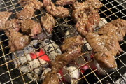 焼肉ってハラミ、牛タン、豚ホルモン以外いらんよなぁ