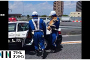 「柴犬が高速道路に立ち入っている」第三京浜に柴犬「こしょう」迷い込み一時通行規制　自宅から逃げ出す…犬は無事に保護　川崎市