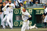 福留孝介(42) .244(246-60) 5本 28打点 OPS.670 UZR-3.7