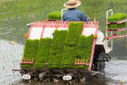 【朗報】田植え、始まる