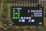 【競馬】　静内農業高校の生産馬が２５００万円で落札