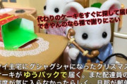 郵便局クリスマスケーキクレーム事件をシルバニアで再現映像ｗｗｗｗｗｗｗｗｗｗ