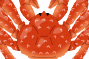 タラバガニって実はカニじゃないんだってね！！！！！！！〓