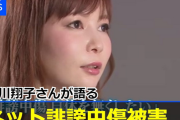 【悲報】中川翔子さん「最近のXがきもい」