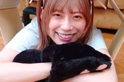 【日向坂46】めい猫のダンボールダイブ動画が着弾！！！