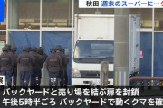都市部に住むクマ可哀想勢　秋田県民に抗議「クマの出る場所に住むな」「クマが出るようなところに住んでる方にも責任がある」秋田県民「・・・えぇえ？」