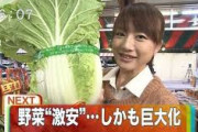 ツイカス「何が福島県産を食べて応援だよ！時代が古いんだよ！」