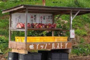 【鹿児島】無人野菜販売所持ち去り多発　「良心と信頼で成り立っているのに…」　やむなく対策、生産者のやるせなさ