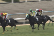 結局G1を勝てなかった馬の中で、これまで一番ワクワクした馬